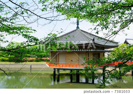 Abe Fumkatein Kinkaku Shimodo Abe Fumkatein Kinkaku Shimodo 7381033
