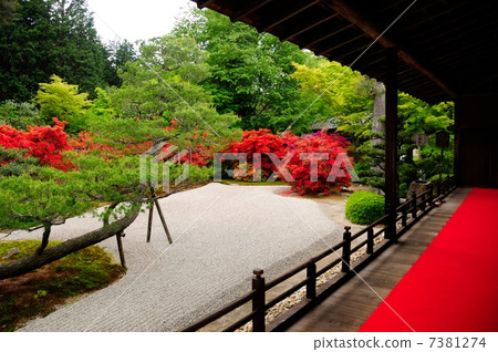 Manshuin Monk's Garden Manshuin Monk's Garden 7381274