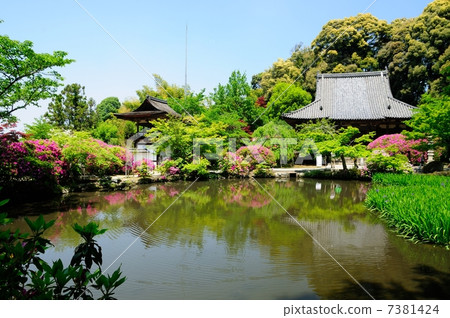 Nagakudaji湧現池和主要大廳 Nagakudaji湧現池和主要大廳 7381424