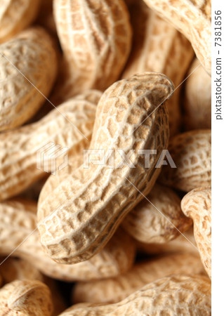peanuts  7381856