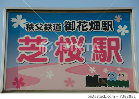 Saitama Prefecture Chichibu masochism cherry 7382881