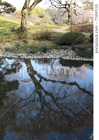 Cherry blossoms appearing on the river surface Cherry blossoms appearing on the river surface 7384518