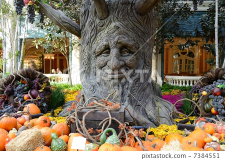 America Las Vegas Bellagio Hotel 7384551