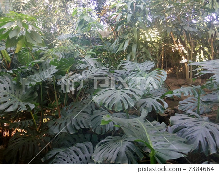 A holiday A holiday 7384664