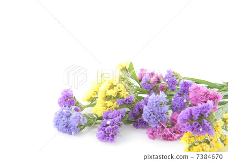 Statis flowers and space 7384670
