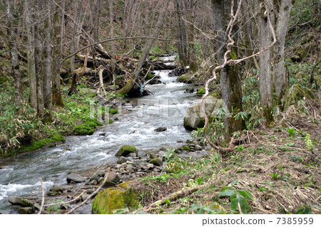 Upstream of the river Upstream of the river 7385959