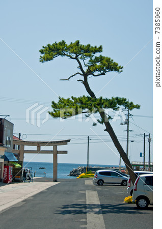 在Hinomise神社的Torii torii 在Hinomise神社的Torii torii 7385960