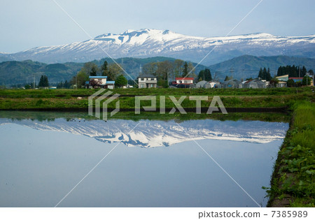 Paddy field waiting for rice planting and Akita Komagatake from Iwate prefecture side 7385989