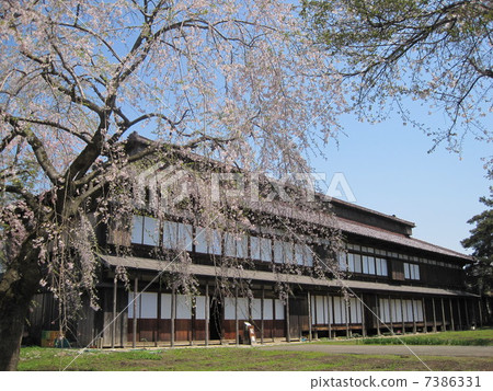 Sakura和Matsuga Oka煉油紀念館 Sakura和Matsuga Oka煉油紀念館 7386331