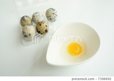 Quail egg Quail egg 7386692