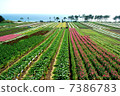 Ibusuki · Nagasaki Nose parking garden 7386783