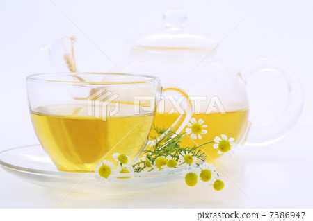 Chamomile Chamomile 7386947