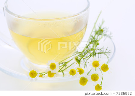 黃春菊 黃春菊 7386952