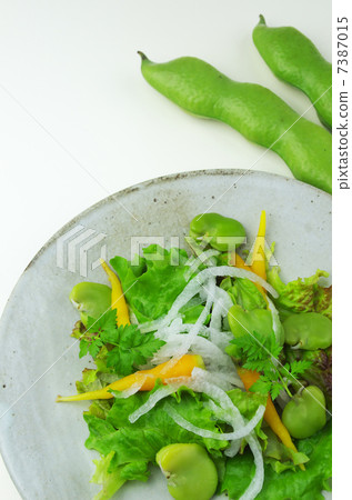 蠶豆菜沙拉在初夏 7387015