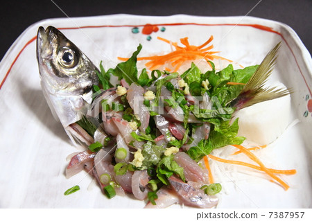 Tadaki of Asia Tadaki of Asia 7387957