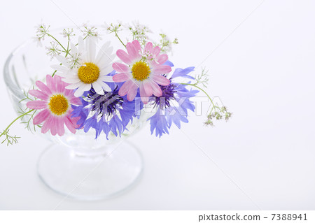 Early summer flowers Early summer flowers 7388941