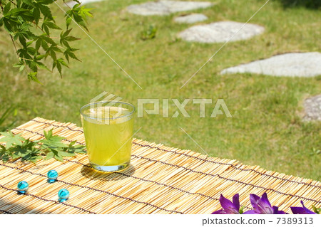 Frozen tea in the garden Frozen tea in the garden 7389313