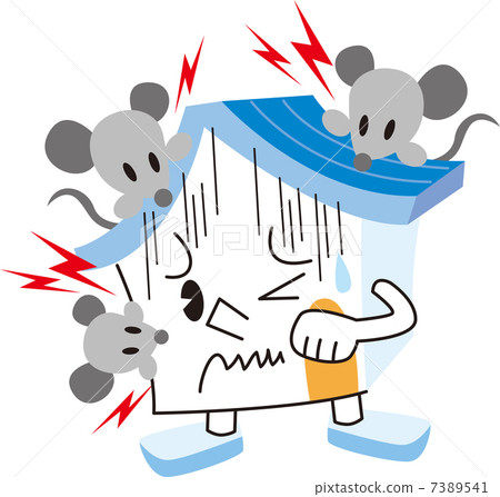 A mouse A mouse 7389541