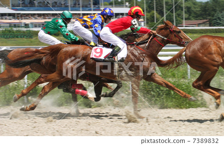 Horse racing at the hippodrome in Pyatigorsk. Horse racing at the hippodrome in Pyatigorsk. 7389832