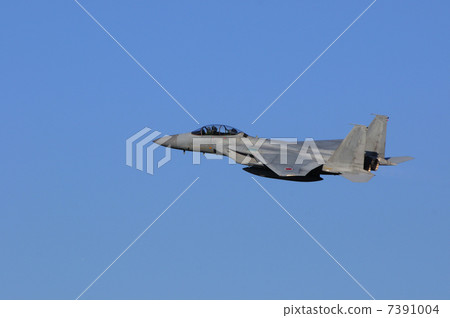 戰鬥機 7391004