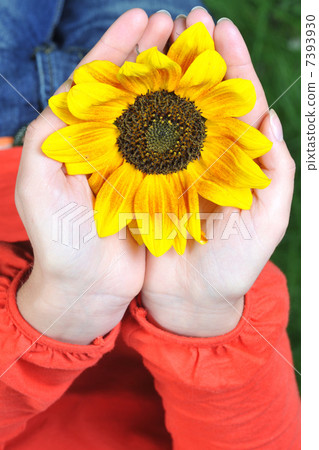 young woman hands with flowers outdoor 7393930
