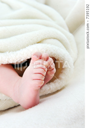 baby feet 7395192