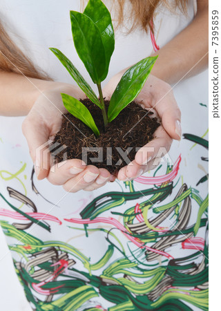 young woman young woman 7395859