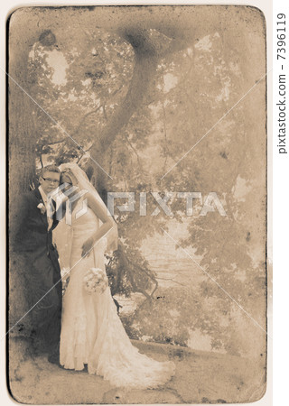 bride and groom portrait bride and groom portrait 7396119