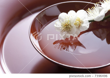 梅花和杯子 7396496