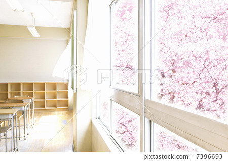 Cherry blossoms seen from the classroom 7396693