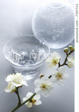 日本酒和梅花 日本酒和梅花 7397331