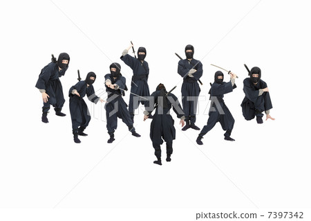 Ninja Ninja 7397342