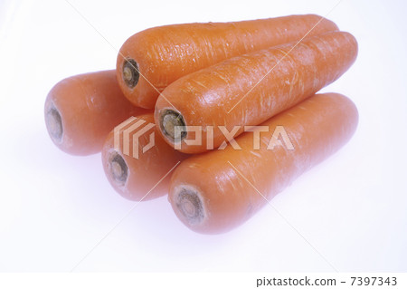 紅蘿蔔 7397343