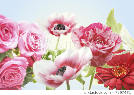 花 花 7397471