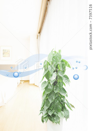 清新的空氣 7397516