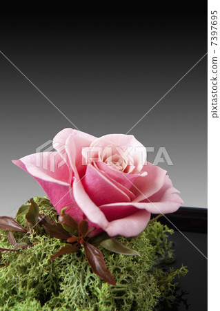 flower arrangement  7397695