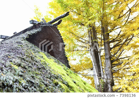 Thatched roof Thatched roof 7398136