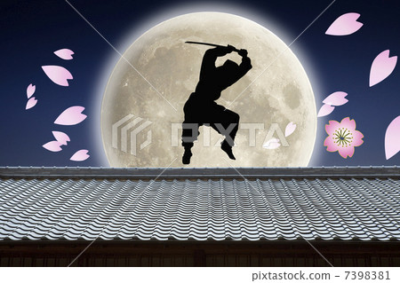 Ninja silhouette Ninja silhouette 7398381