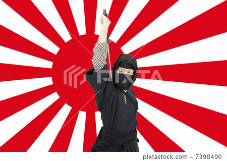 Ninja 7398490