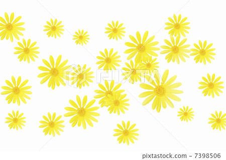 朱利葉斯黛西 7398506