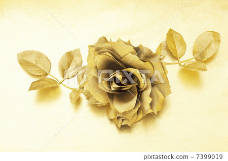 玫瑰金 玫瑰金 7399019