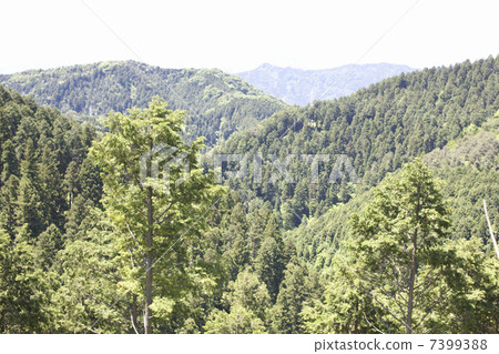 Landscape seen from Mt. Takao 7399388