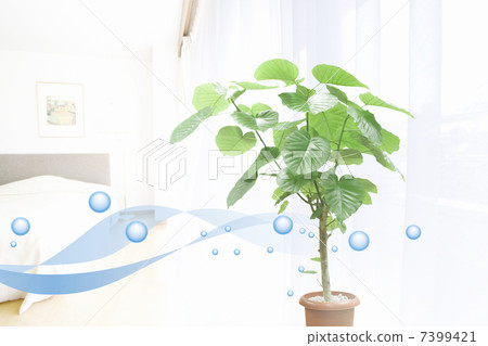 清新的空氣 7399421