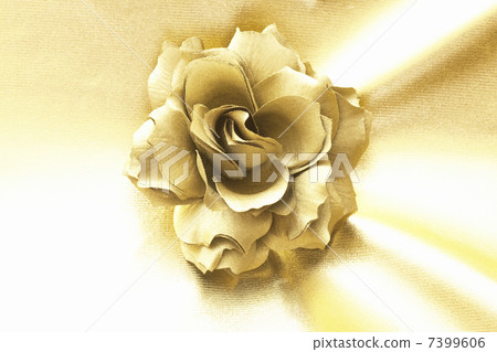 玫瑰金 玫瑰金 7399606