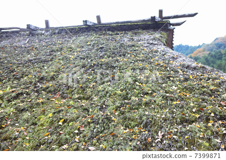 Thatched roof 7399871