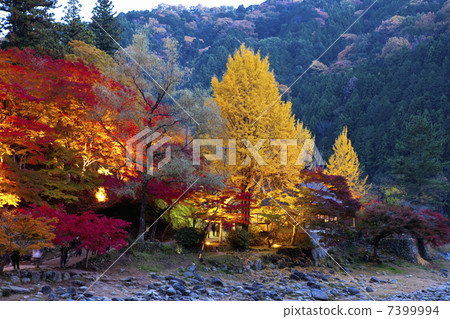 Konami河秋葉 7399994