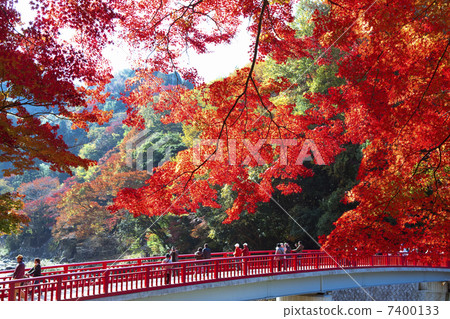 Autumn leaves of Konami River 7400133