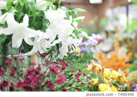 Lily flower Lily flower 7400300