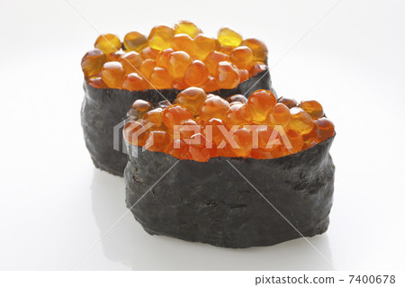 Ikura warship wound Ikura warship wound 7400678