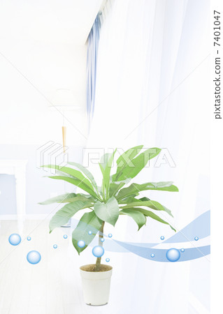 葉子植物 葉子植物 7401047